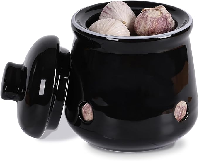HAOTOP Ceramic Mini Garlic Keeper with Lid, Garlic Container Saver for Countertop, Keep Your Garlic Cloves Fresh (Black)