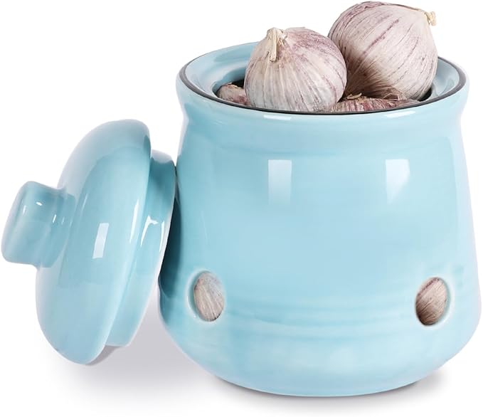 HAOTOP Ceramic Mini Garlic Keeper with Lid, Garlic Container Saver for Countertop, Keep Your Garlic Cloves Fresh (Turquoise)