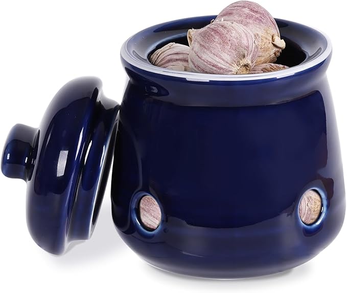 HAOTOP Ceramic Mini Garlic Keeper with Lid, Garlic Container Saver for Countertop, Keep Your Garlic Cloves Fresh (Navy)