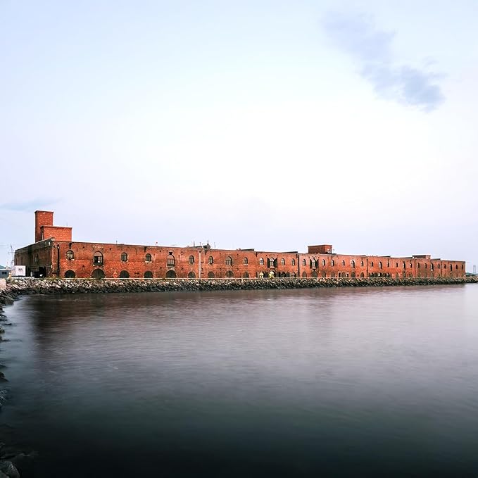 Vivo Arabica Whole Coffee Beans and Forza Whole Bean Coffee