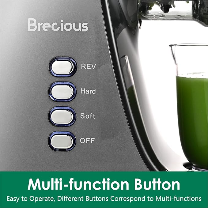 Slow Masticating Juicer,Brecious Cold Press Juicers with 2 Speed Modes & Quiet Motor,Juicers Machines Vegetable and Fruit with Reverse Function,Celery Juicer,BPA-Free,Easy to Clean (Silver)
