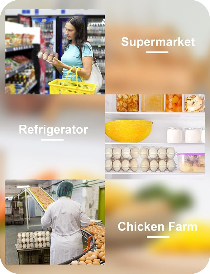 50 Pack Egg Cartons Cheap Bulk 12 Count - Holds 1 Dozen Clear Blank Egg Cartons for Chicken Eggs - Clear Empty Chicken Egg Carton for Fresh Medium Eggs