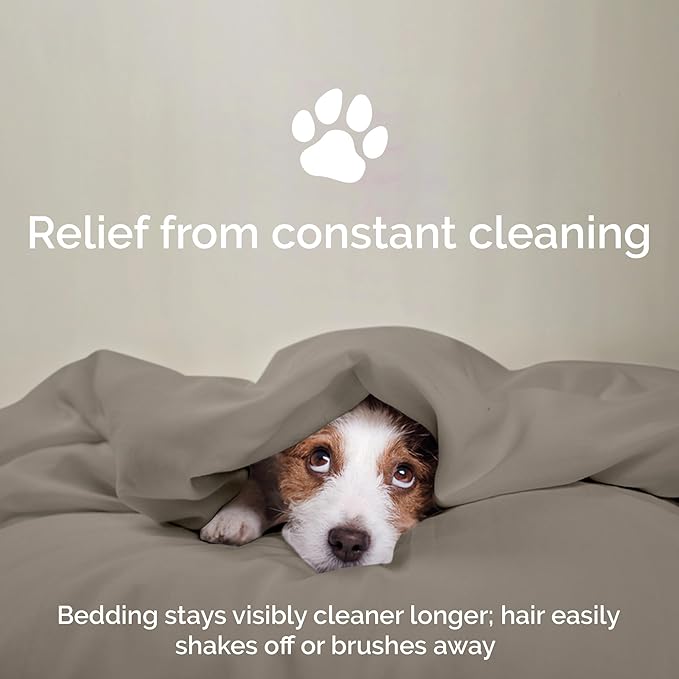 100% Viscose from Bamboo Sheets Queen Size, Super Soft Bedding Set, 4PC Cooling Sheets for Hot Sleepers, Vegan Silk Moisture Wicking, Organically Grown Bedsheet, Sand - 60" x 80"