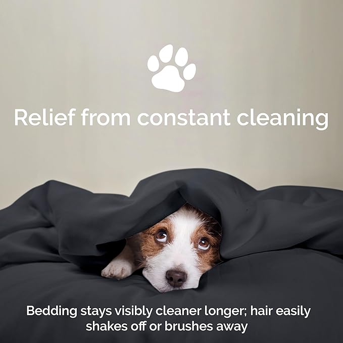 100% Viscose from Bamboo Sheets Queen Size, Super Soft Bedding Set, 4PC Cooling Sheets for Hot Sleepers, Vegan Silk Moisture Wicking, Organically Grown Bedsheet - Charcoal - 60" x 80"