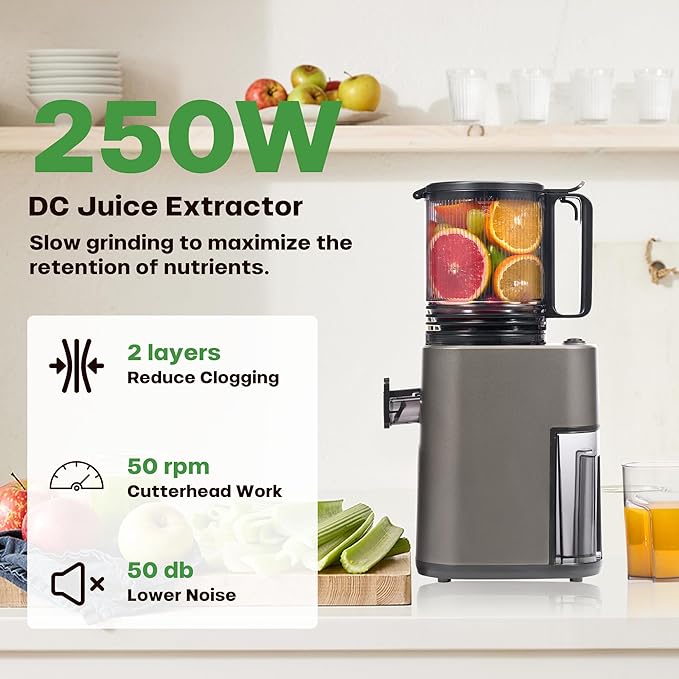 Cold Press Juicer, 5.4" Wide Feed Chute Juicer Machines for Vegetable and Fruit, Slow Masticating Juicer Easy to Clean, Grey