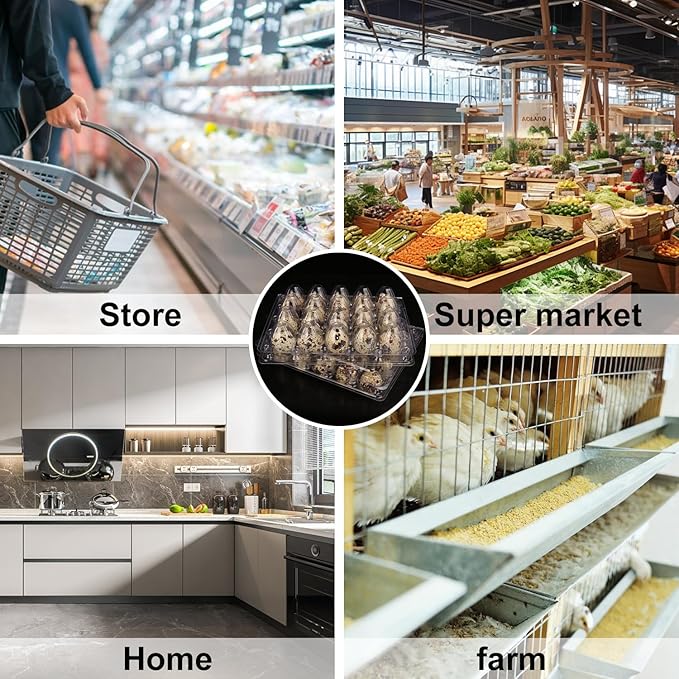 150 Pack Quail Egg Cartons, Clear Plastic Quail Egg Trays, Holds up to 20 Quail Eggs Securely - Your Ultimate Small Eggs Carton Holders for Bulk Storage and Display