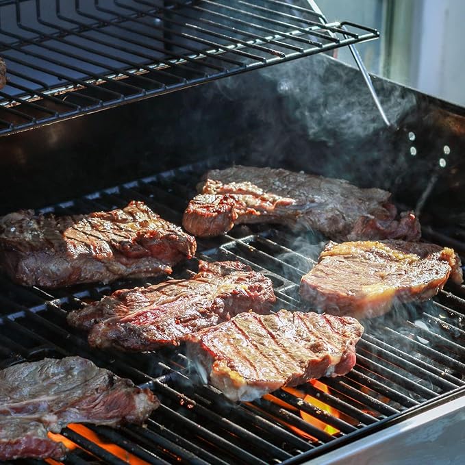 G460-0500-W1 Cooking Grate Grill Replacement Parts for Char Broil Grill Grates 463672016 463645015 463251414 463633316 463642116 463672416 463650413 Charbroil 2 Burner Grill Replacement Grates