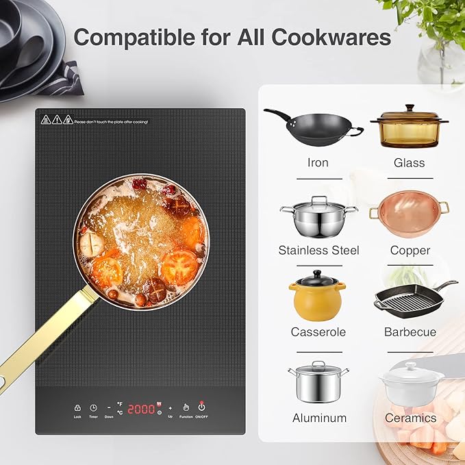 Portable Electric Hot Plate, 2 Burner Cooktop 110V/120V Plug-in, Infrared Stove Top for Cooking, LED Touch Control, Timer & Safety Lock for RV, Dorm, Apartment (Electric Cooktop 12 Inch)