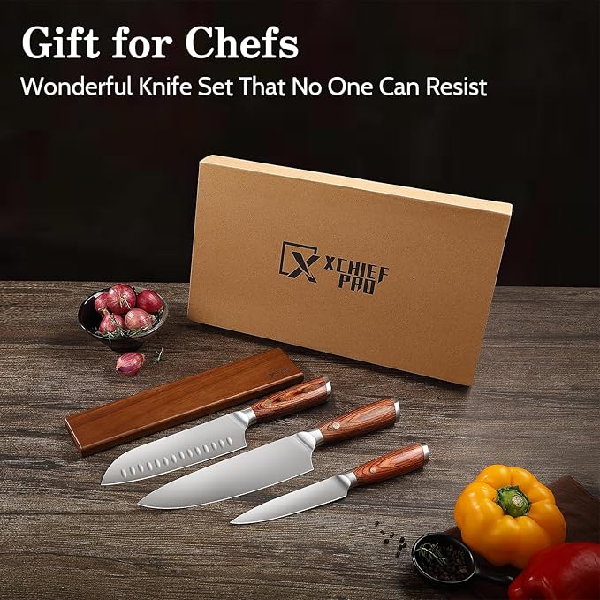 Kitchen Knife Set with Magnetic Holder, 4 Pieces Japanese High Carbon Stainless Steel Chef Cooking Knife Set, Ultra Sharp Professional Chef Santoku Utility Knives (Silver)
