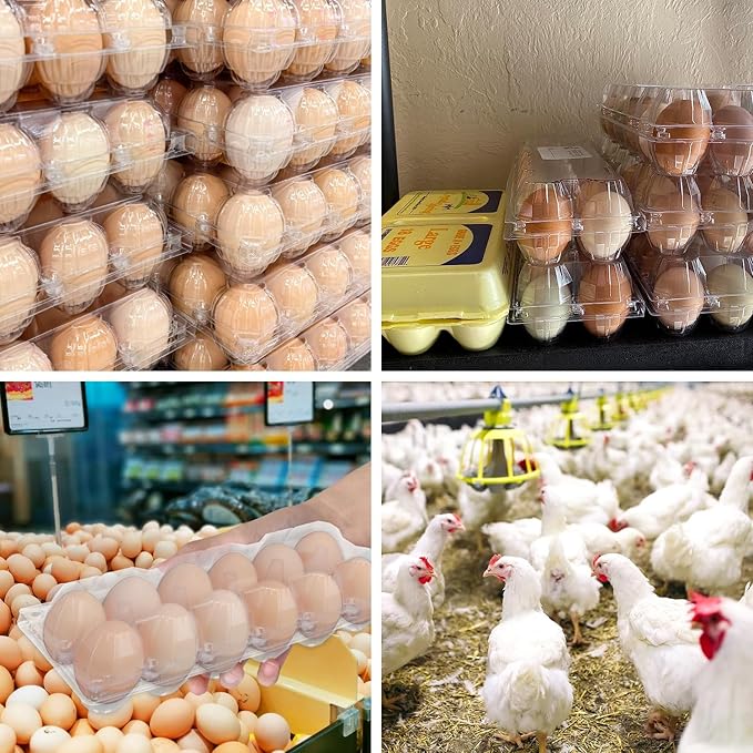 120 Pack Bulk Egg Cartons, Clear Plastic Chicken Egg Holders, Egg Tray Carton Holder for Home & Kitchen, Farm & Market Use, An Eco-Friendly Egg Storage Solution, 12 Grids