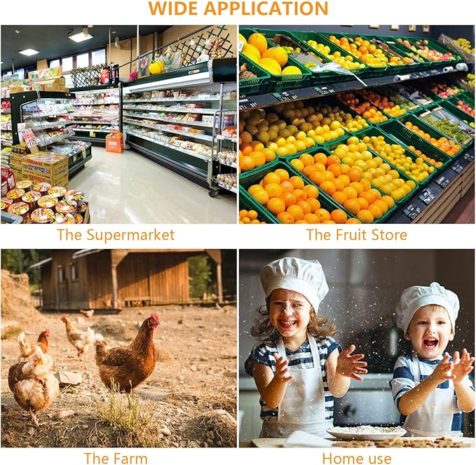 100PCS Egg Cartons Cheap Bulk, Each Holds Half Dozen Eggs (6 Eggs), Plastic Chicken Egg Carton Egg Tray Egg Cartons Holder for Family Pasture Farm Market