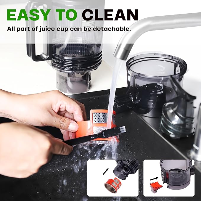 Cold Press Juicer, 5.4" Wide Feed Chute Juicer Machines for Vegetable and Fruit, Slow Masticating Juicer with AC Moter, Easy to Clean, AC-Black