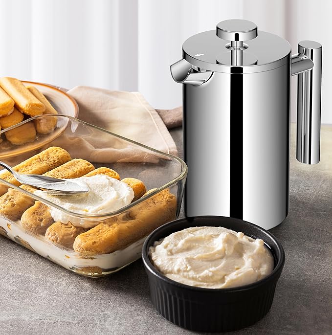 Small French Press Coffee Maker 600ml, Double-Wall Insulated French Press Coffee Press Stainless Steel for travel camping, Included 2 Extra Fliters and 1 Coffee Spoon (2-4cup, 20 OZ)