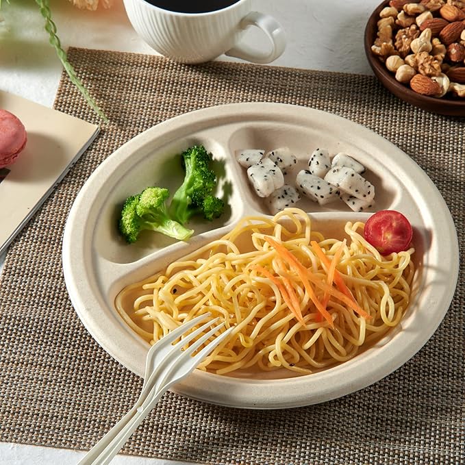 Vplus 100% Compostable Paper Plates, 125 Pack 9 Inch 3 Compartment Plates Disposable, Heavy Duty Biodegradable Plates Made of Sugar Cane Fibers, for Daily meals, Dinner, Parties, BBQ