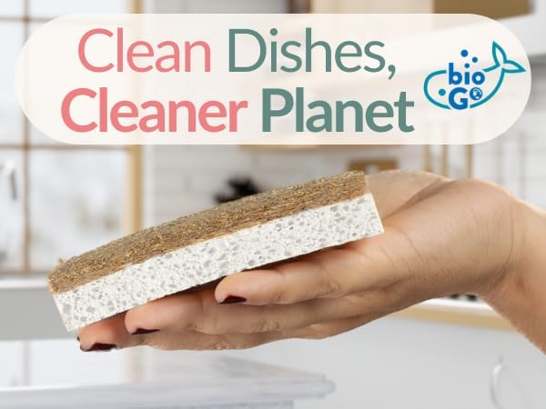 bioGo White 12 Pack Biodegradable Kitchen Sponge - Eco-Friendly, Compostable, Natural Cellulose Dish - Compostable - Biodegradable - Cellulose Sponges Kitchen