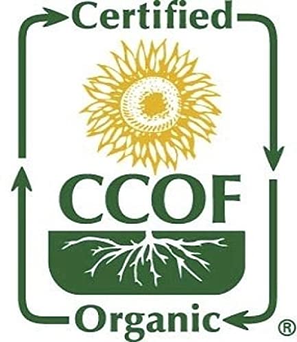 McCabe Organic Barley Flour - Barley Flour for Cooking and Baking | Rich in Fiber | USDA and CCOF Certified | Product of USA | 2 lbs (32 Oz)