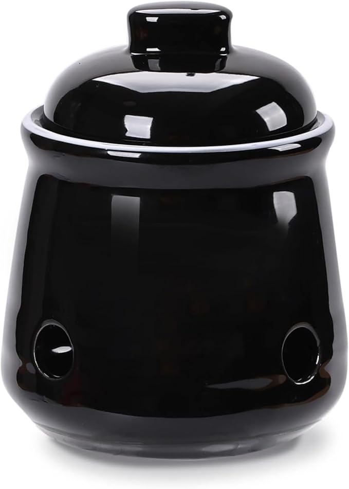 HAOTOP Ceramic Mini Garlic Keeper with Lid, Garlic Container Saver for Countertop, Keep Your Garlic Cloves Fresh (Black)