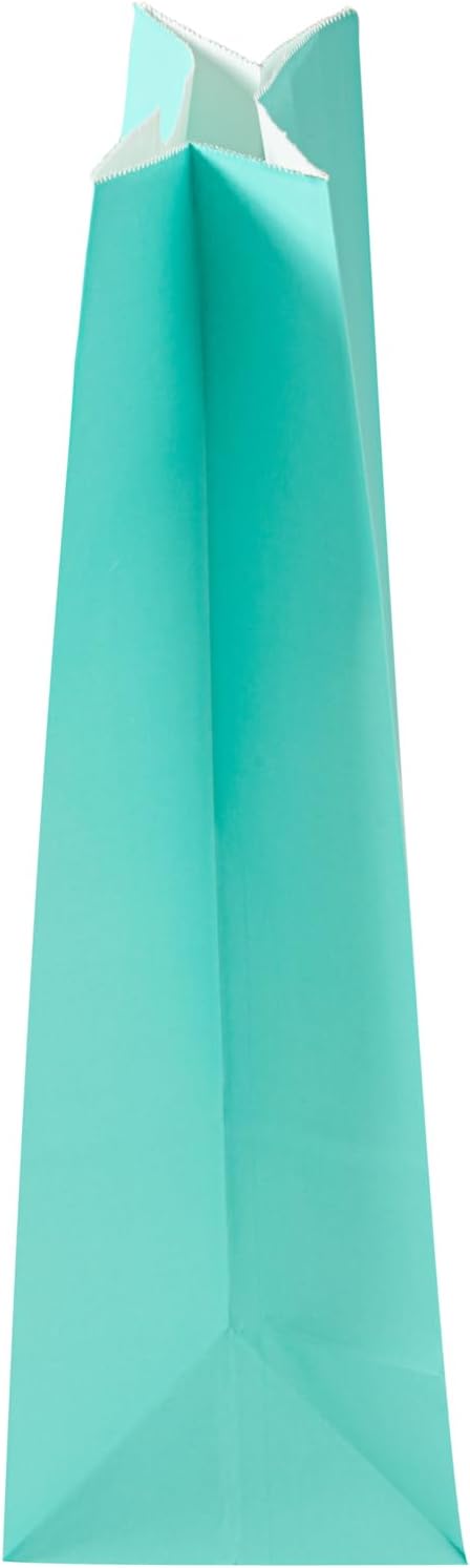 Restaurantware Bag Tek 12 LB Disposable Lunch Bags 100 Sturdy Take Out Bags - Flat Bottom Great For Restaurants Cafes And Bakeries Turquoise Paper Popcorn Bags Versatile For Grocery And More