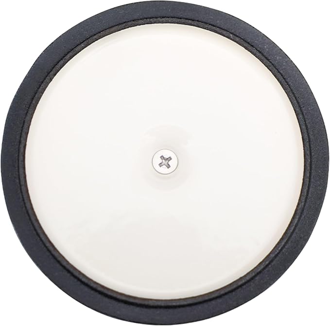 Mini Cocotte 16 oz Mini Dutch Oven 0.5 qt. Cast Iron Garlic Roaster for Oven Garlic Confit Pot Ramekins with Lids Oven Safe Set of 2, White