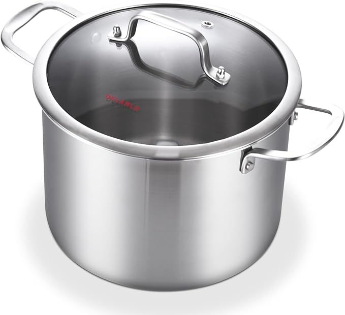 DELARLO Tri-Ply Stainless Steel 8 Quart Stock Pot, All Stove Compatible Up to 600℉ Soup Pot with Lid, 18/10 Induction Big Stockpot with Lids, Large Stainless Steel Induction for Cooking