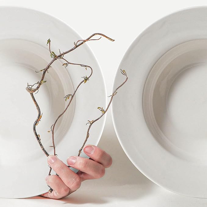 Artena Pasta Bowls 20oz, Large Salad Serving Bowls, 10 inch White Soup Bowl, Porcelain Pasta Bowl Set of 4, Rimmed Deep Pasta Plates, Wide and Shallow for Dinner, Microwave Dishwasher Safe