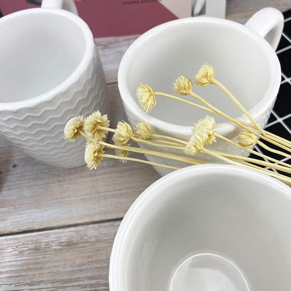 Schliersee 12 OZ White Ceramic Coffee Mugs set of 6, Stylish Embossed Coffee Cups Set for Coffee, Tea, Milk, Cocoa, Cereal