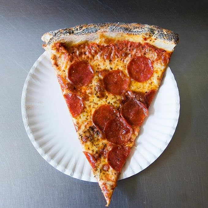 Bluetable 9 Inch Paper Plates Bulk – 1200 Count - Uncoated White 9” Dinner Plate Pizza Plate Decorative Craft Paper Plates Disposable Plates [1200 Pack/Case]