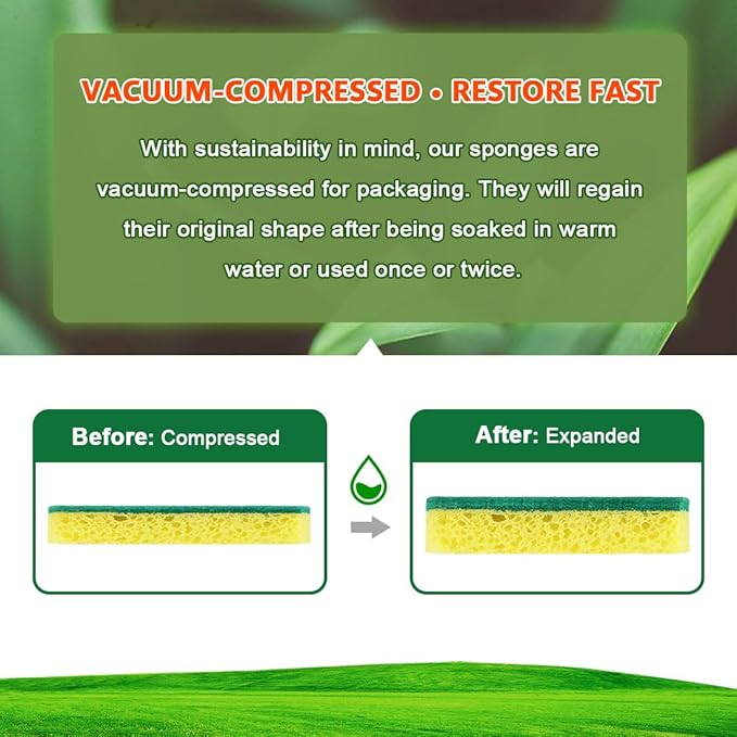 ORIGHTY Heavy Duty Cellulose Scrub Sponges Kitchen, Powerful Scrubbing & Cleaning, Suitable for Washing Dishes and Kitchen Cleaning, Absorbent & Rich Foam, 24 Count