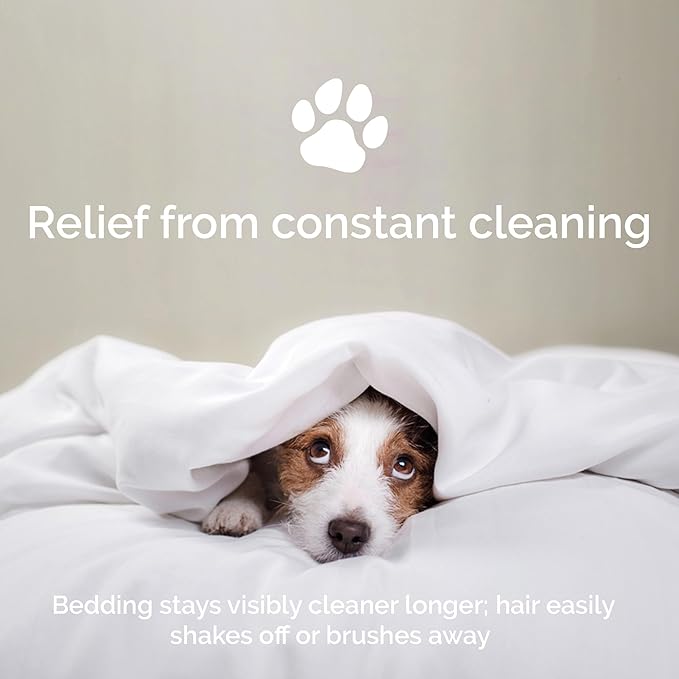 100% Viscose from Bamboo Sheets Queen Size, Super Soft Bedding Set, 4PC Cooling Sheets for Hot Sleepers, Vegan Silk Moisture Wicking, Organically Grown Bedsheet, White - 60" x 80"