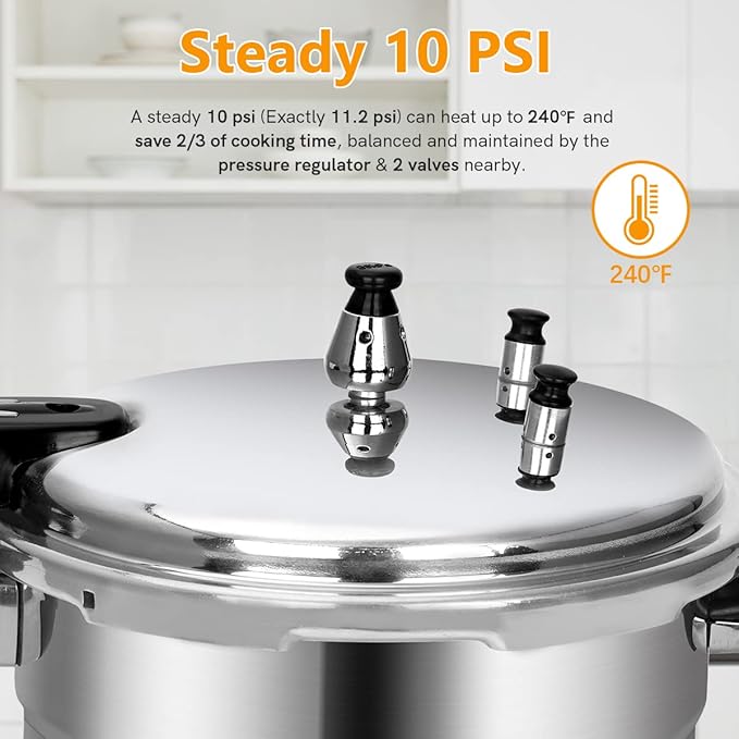 BreeRainz 5.3 Quart Pressure Cooker, 10 PSI Induction Compatible Pressure Canner w/Honeycomb Stainless Steel Clad Base for Fast & Even Heating, Canning Rack Included