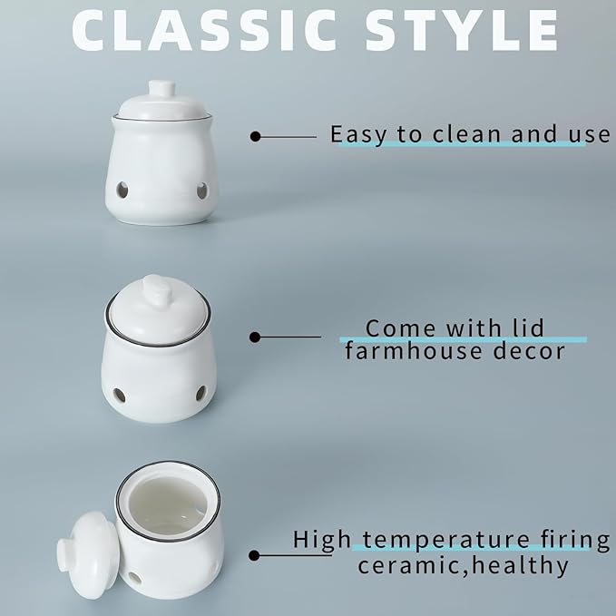 HAOTOP Ceramic Mini Garlic Keeper with Lid, Garlic Container Saver for Countertop, Keep Your Garlic Cloves Fresh (White)