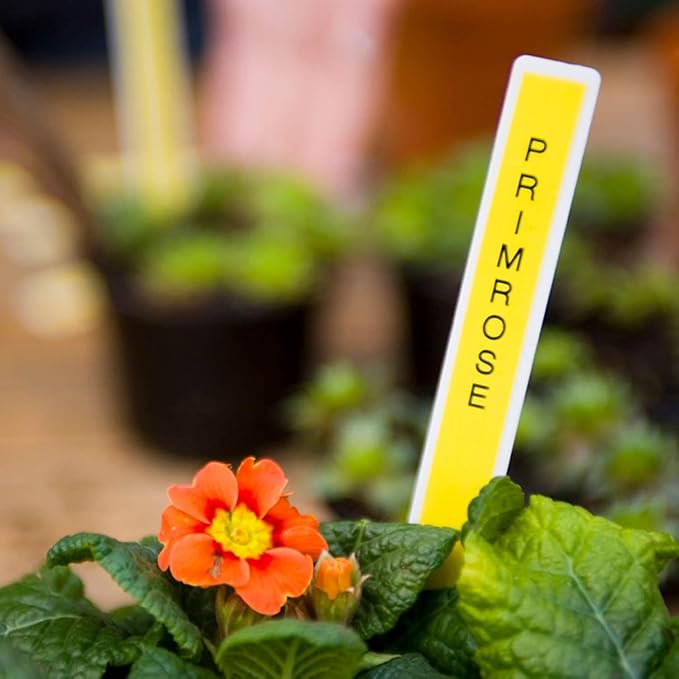 Brother Genuine P-Touch, TZe-6312Pk Tape ½” (12mm) 2-Pack Laminated P-Touch Tape, Black On Yellow Perfect for Indoor Or Outdoor Use, Water Resistant, 26.2 Ft. (8M)