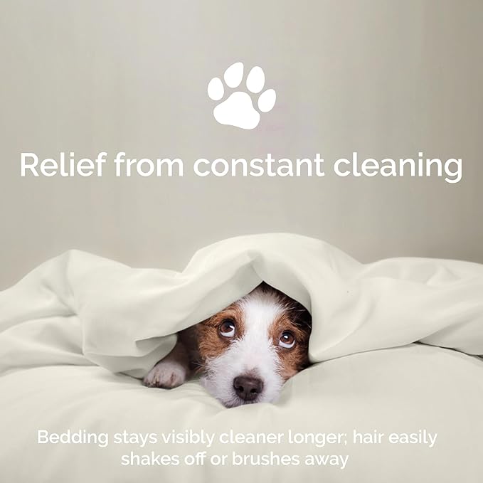 100% Viscose from Bamboo Sheets King Size, Super Soft King Bed Set, 4PC Cooling Sheets for Hot Sleepers, Organically Grown Bedding Sheet, King Size Sheet Set - Ivory - 76" x 80"