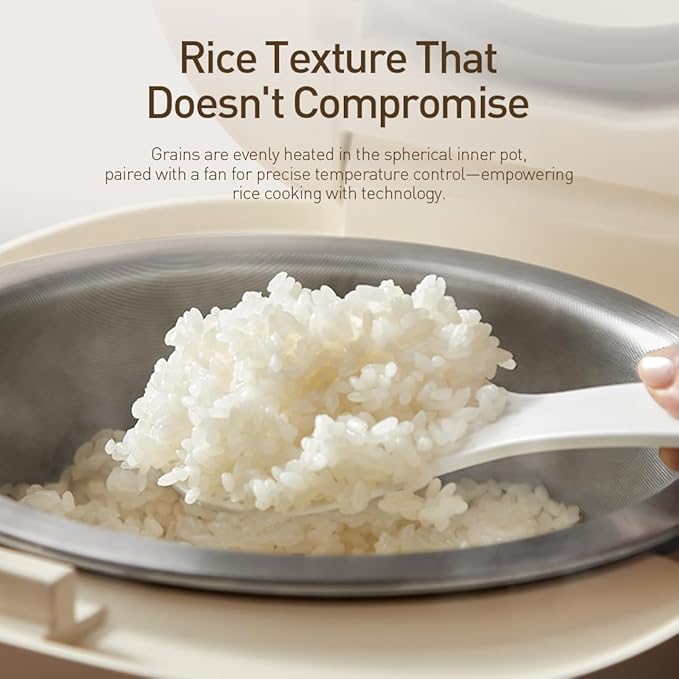 Joydeem Stainless Steel Rice Cooker, Uncoated Non-stick 316L Stainless Steel Inner Pot Rice Cookers, 6 Cup Uncooked, 3L/3.2 qt, DFB-D300