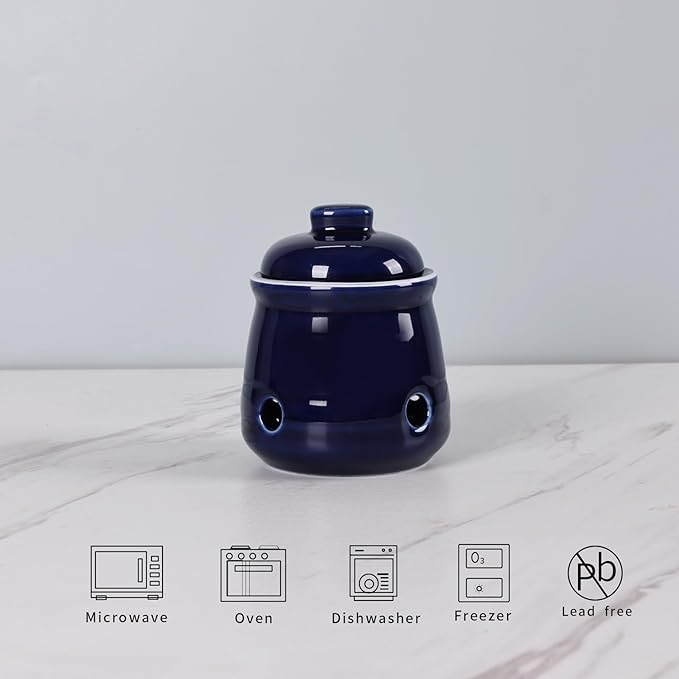 HAOTOP Ceramic Mini Garlic Keeper with Lid, Garlic Container Saver for Countertop, Keep Your Garlic Cloves Fresh (Navy)