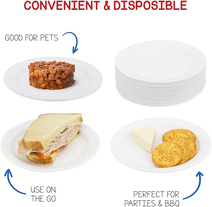 Hygloss Products Paper Plates - ‎Uncoated White Plate - Use for Foodware, Events, Activities, Crafts Projects and More - Environmentally Friendly - Recyclable and Disposable - 6-Inches - 500 Pack