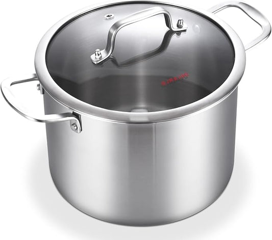 DELARLO Tri-Ply Stainless Steel 6QT Pot with Lid, Induction Ready, 6 Quart with Lid, Durable, Noodle Pot, 18/10 Heavy Duty for Cooking, Suit for All Stove, Up to 600℉(Lids 300℉)