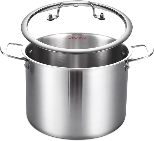 DELARLO Tri-ply Stainless Steel 20QT Stock Pot, Compatible with All Stoves Up to 600℉, 18/10 Induction Big Cooking Pot with Lid, Fast & Even Heating, Durable Large Soup Pot