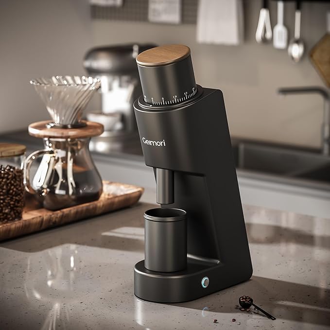 Burr Coffee Grinder,Wirsh Electric Single Dose Coffee Grinder Geimori GU38 with 38mm 6-Core Conical Burr,Stepless Adjustment for Drip,French Press,Cold Grind Settings from Fine to Coarse