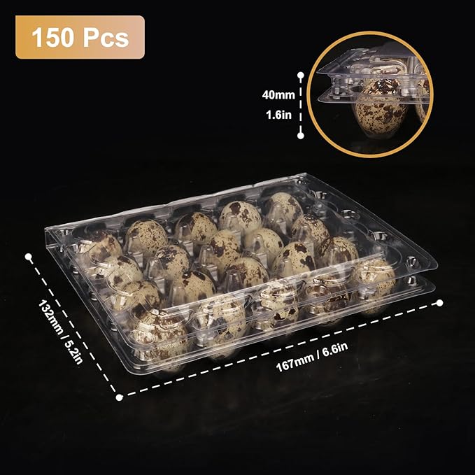 150 Pack Quail Egg Cartons, Clear Plastic Quail Egg Trays, Holds up to 20 Quail Eggs Securely - Your Ultimate Small Eggs Carton Holders for Bulk Storage and Display