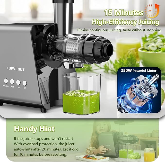 Slow Juicer Carrot Ginger, 250W Cold Press Juicer Machine BAP Free, Easy To Clean High Yield Juicer Extractor with Grinding Function, Dishwasher Safe Masticating Juicer for Hard Vegetable and Fruit