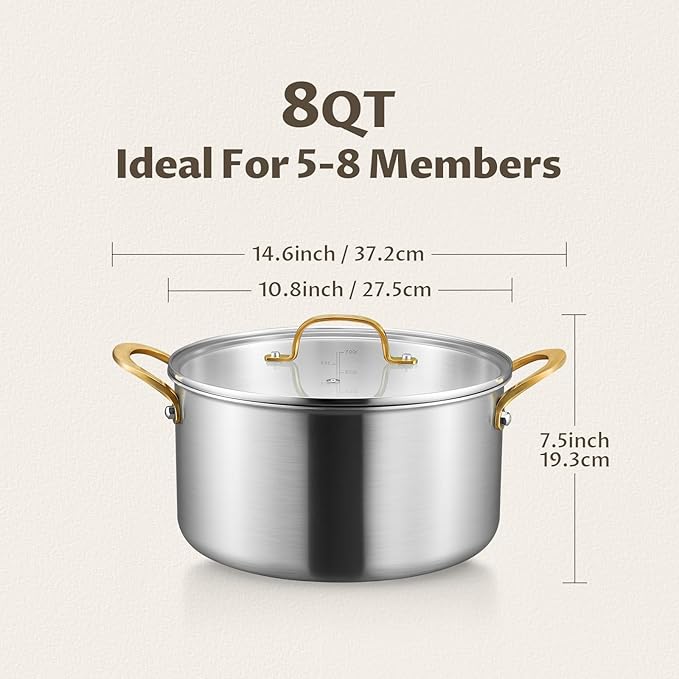 BEZIA 8 Quart Tri-Ply Stainless Steel Pot, Stockpot with Tempered Glass Lid, Exceptional Heat Distribution, Induction Pot, Induction Cooking Pot for All Stoves, Dishwasher Safe, Silver