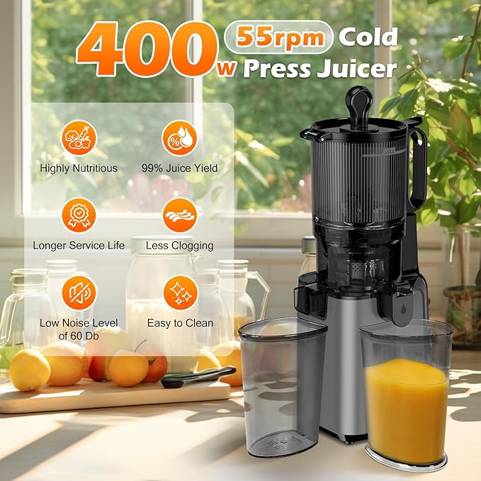 Juicer Machines with 5.8" Large Feed Chute, Cold Press Juicer For Whole Vegetables and Fruits, 400W Professional Slow Masticating juicer Easy to Clean for Batch Juicing (Titanium Gray)