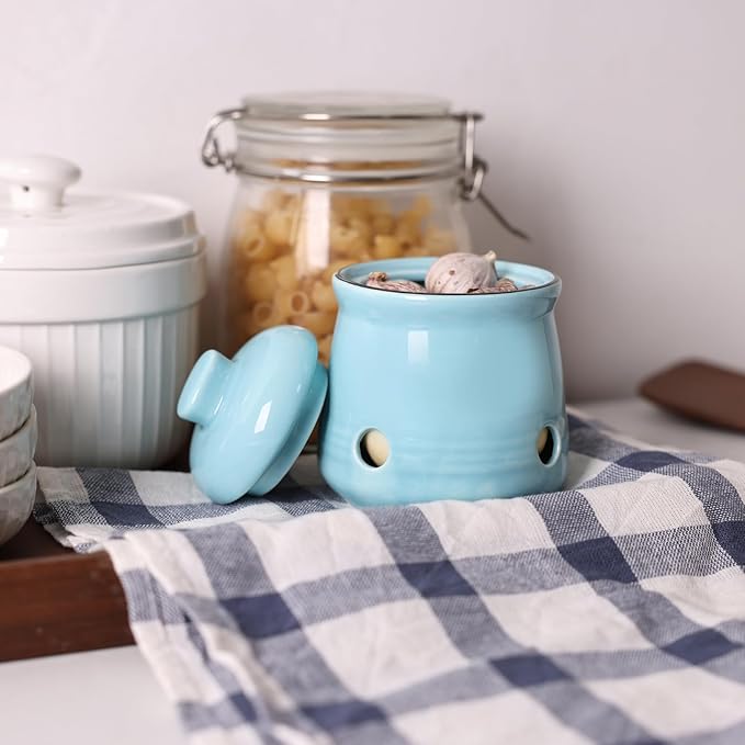 HAOTOP Ceramic Mini Garlic Keeper with Lid, Garlic Container Saver for Countertop, Keep Your Garlic Cloves Fresh (Turquoise)