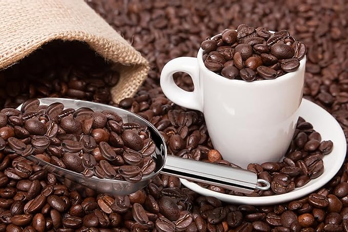 P&P CHEF Food Ice Scoop, Stainless Steel Scoop, Metal Candy Popcorn Flour Utility Scooper for Wedding Party Bar Kitchen Bath, Heavy Duty & Dishwasher Safe, (8oz, 2Pcs)