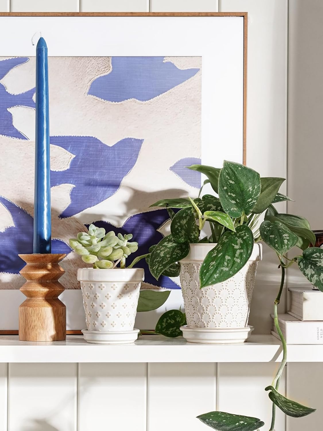 LE TAUCI Ceramic Succulent Pots, 3 Inch Mini Flower Pots for Indoor Plant Cactus, Embossed Small Plant Pot with Drainage Hole & Saucer, Home Decor - Set of 4, Arctic White