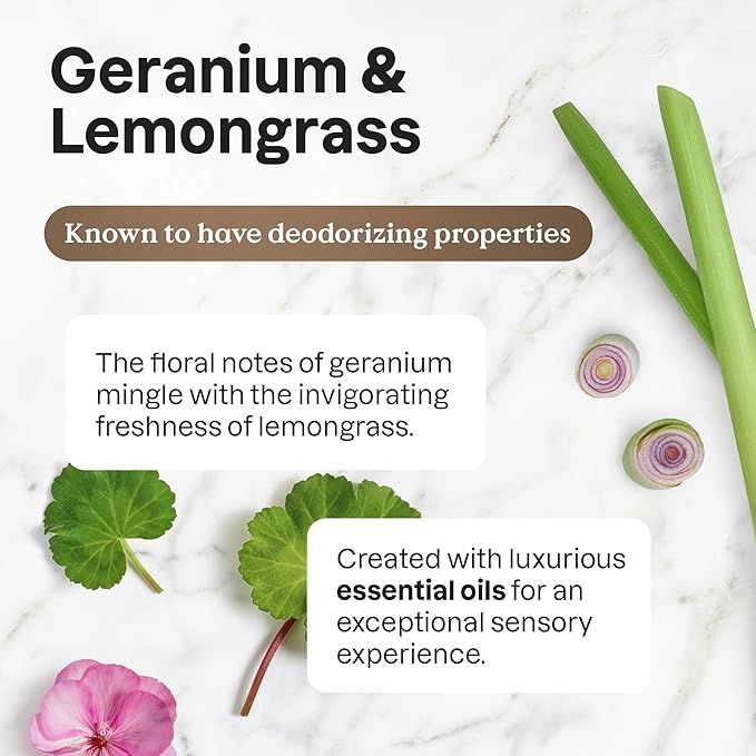 ATTITUDE Dish Soap, EWG Verified, Plant and Mineral-Based Ingredients, Vegan and Cruelty-free Household Products, Geranium and Lemongrass, 67.6 Fl Oz