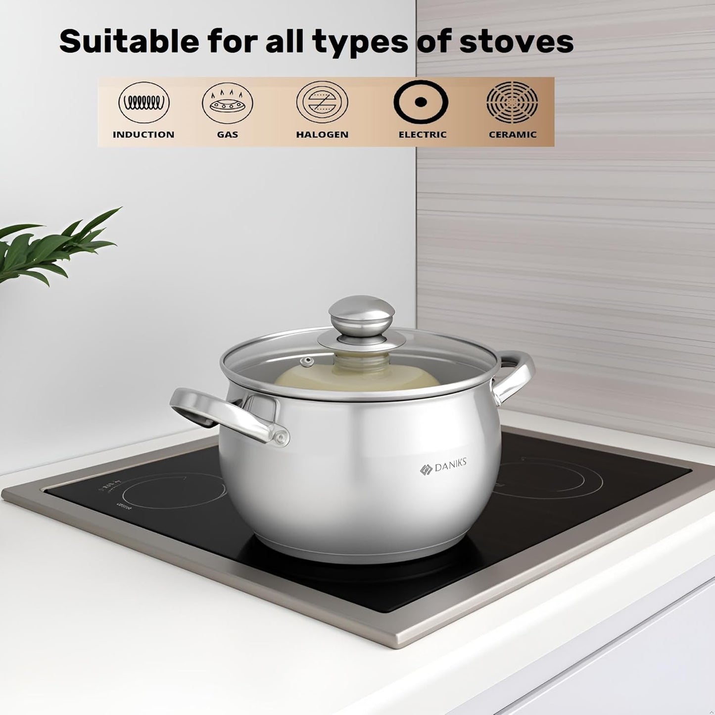 Daniks Classic 6-Piece Stainless Steel Induction Cookware Set – Dishwasher Safe Pots with Lids, Measuring Scale, Silver