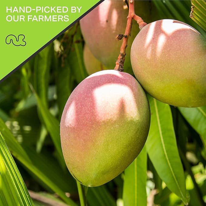 NUT CRAVINGS - Sun Dried Mango Slices, Lightly Sweetened (48oz, 3 LB) Bulk Dry Fruits Packed Fresh in Resealable Bag - Sweet Healthy Snack, Naturally Grown, Vegan, Kosher