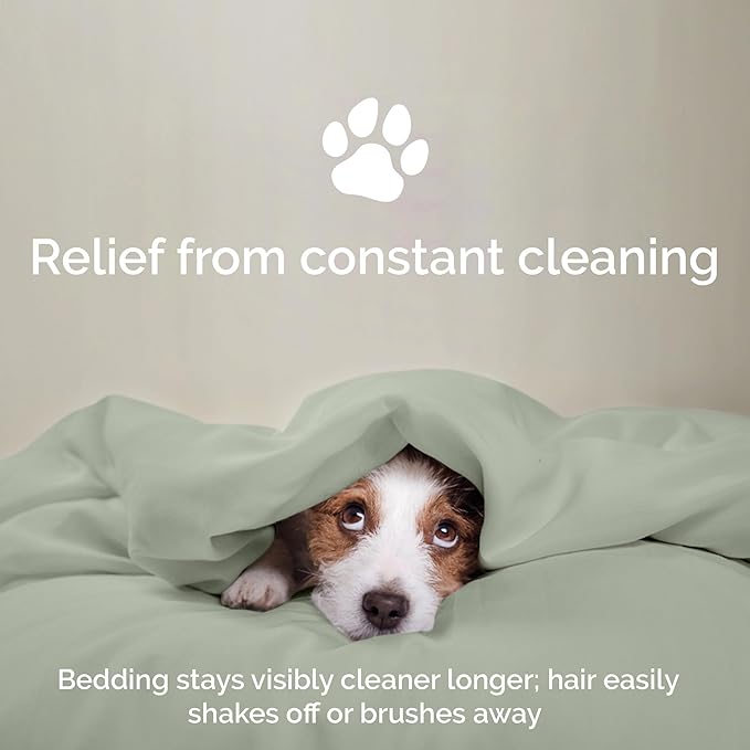 100% Viscose from Bamboo Sheets Full Size, Super Soft Bedding Set, 4 PC Cooling Sheets for Hot Sleepers, Vegan Silk Moisture Wicking, Organically Grown Bedsheet, Sage - 54" x 75"